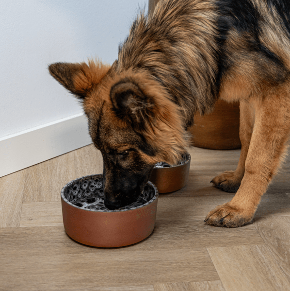 AVA bowls Jag - keraaminen ruokakulho