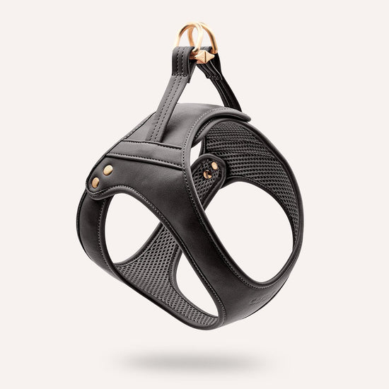 CAFIDE Jala - valjaat, musta