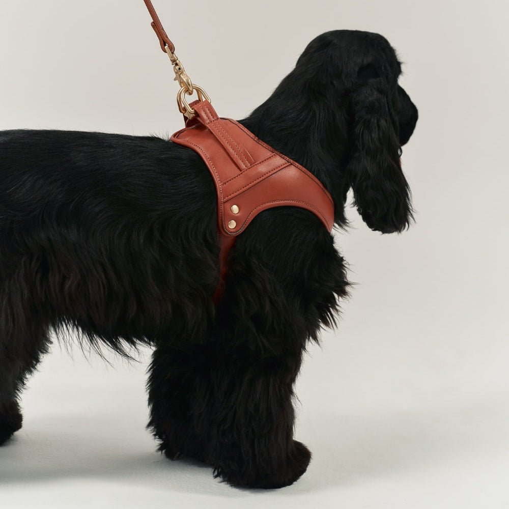 CAFIDE Jala - valjaat, ruskea