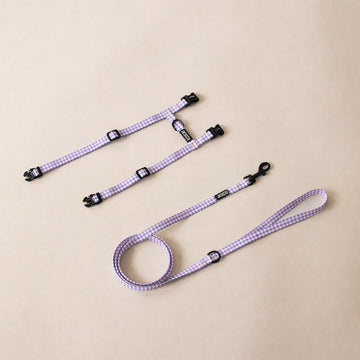Cat Harness and Leash, Lavender Checkered