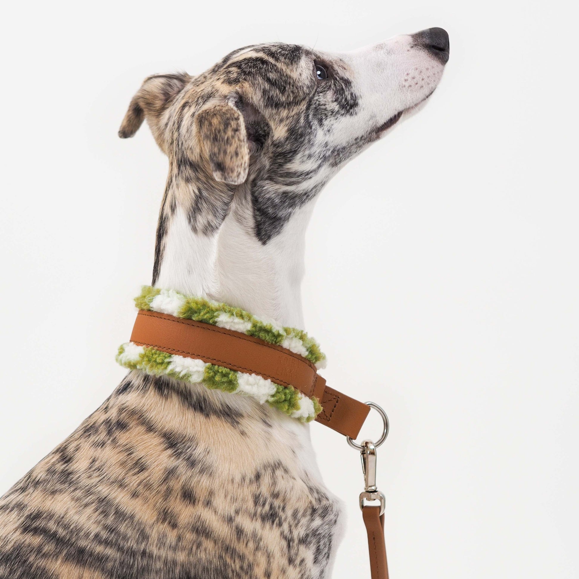 Ruudullinen koiran kaulapanta