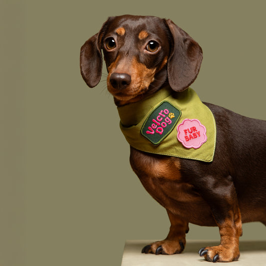 Scout's Honour partiohuivi lemmikille, olive green