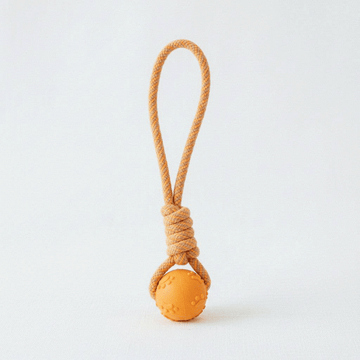 Interaktiivinen lelu koiralle, oranssi