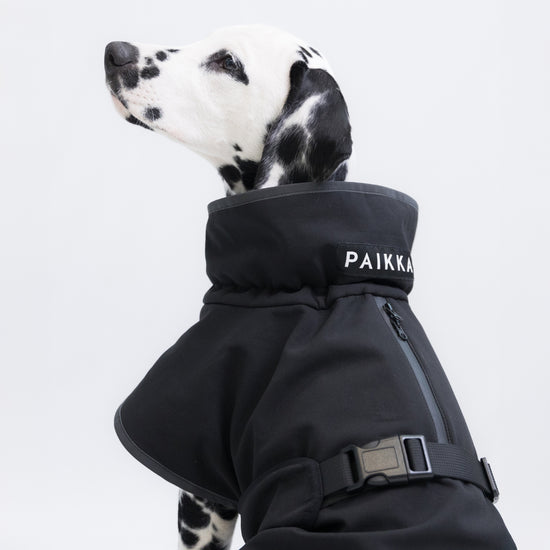 PAIKKA palauttava softshell-takki koiralle, musta