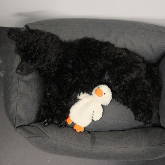 Rukka Pets Koiran rauhoittava ankkalelu