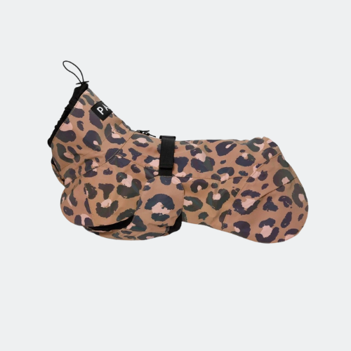 Dog clothes
