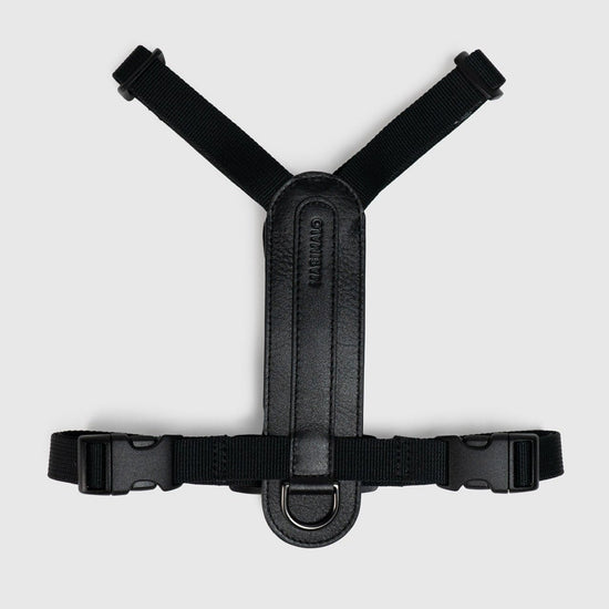 Masimalo Koiran valjaat, musta