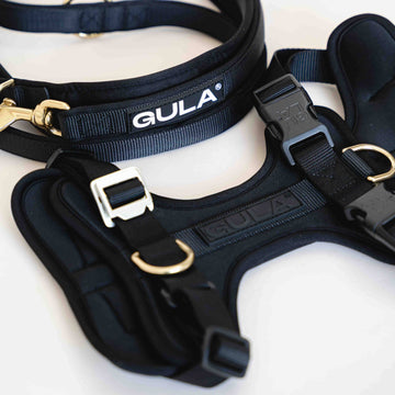 GULA DOG CARE Koiran valjaat, musta