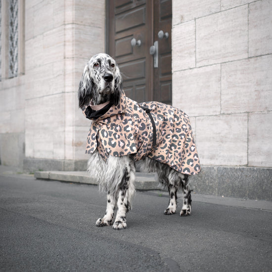 PAIKKA Visibility Lite -koiran heijastava sadetakki, Leo