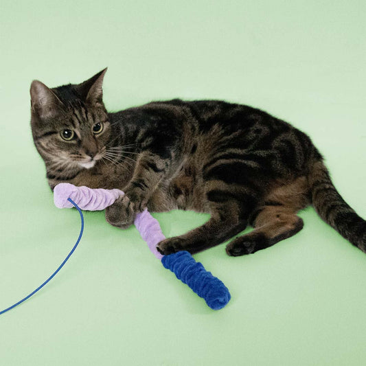 Coockoo Mighty Mac - kissanlelu