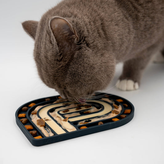 The Catery Nuolumatto