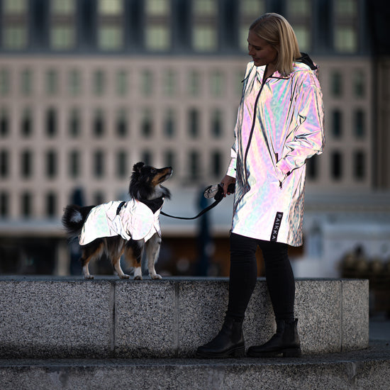 PAIKKA Visibility Lite -koiran heijastava sadetakki, Leo