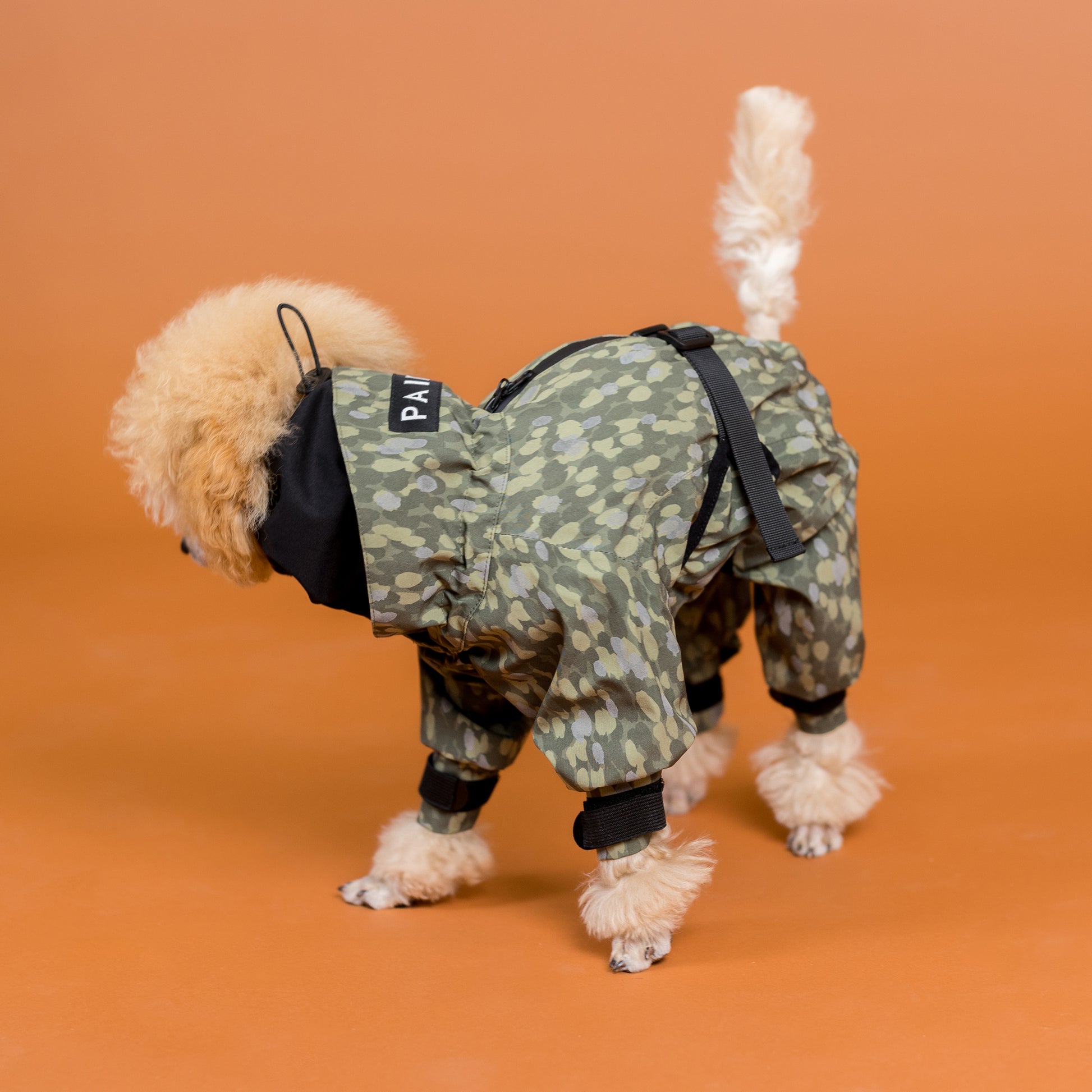 PAIKKA koiran sadehaalari, vihreä