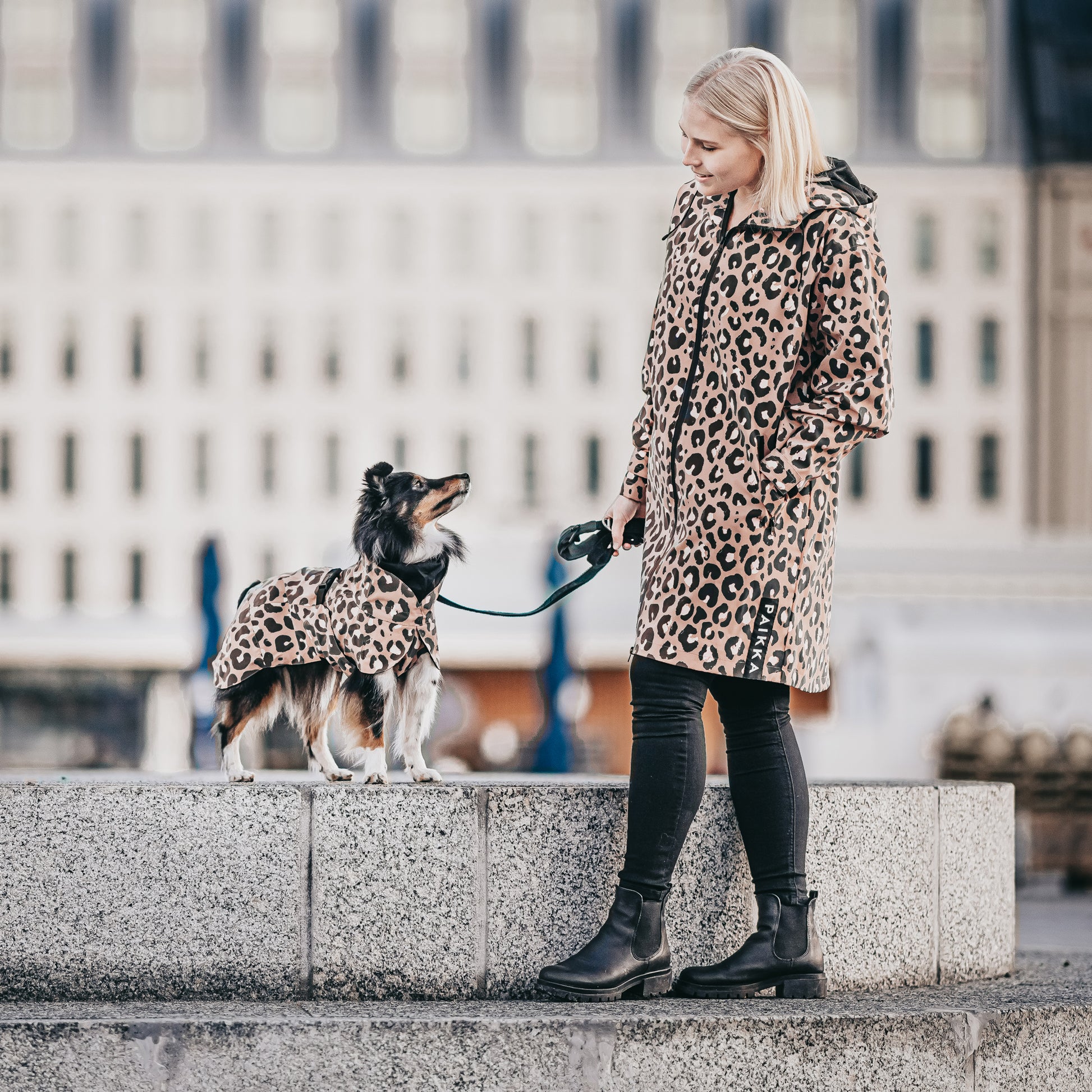 PAIKKA Visibility Lite -koiran heijastava sadetakki, Leo