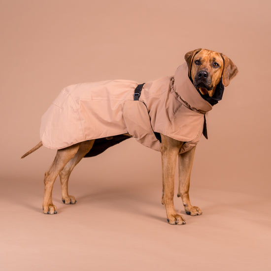 PAIKKA Visibility -heijastava talvitakki koiralle, taupe