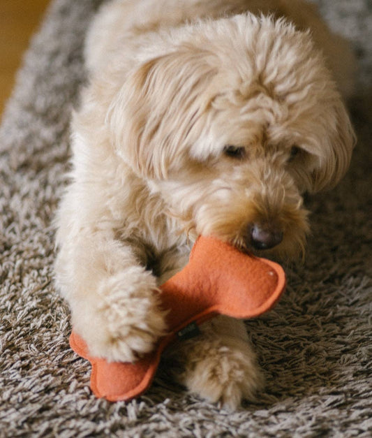 CAFIDE Play - koiran lelu, terracotta