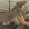 Taja dog raincoat, taupe