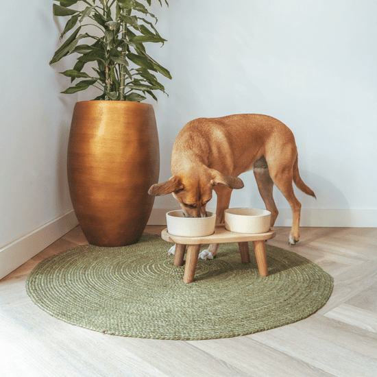 AVA bowls Puinen ruokakuppiteline