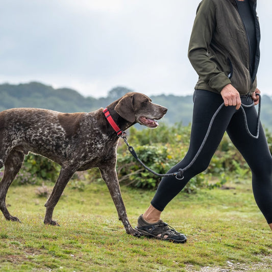 Rukka Pets Rope - multitalutin