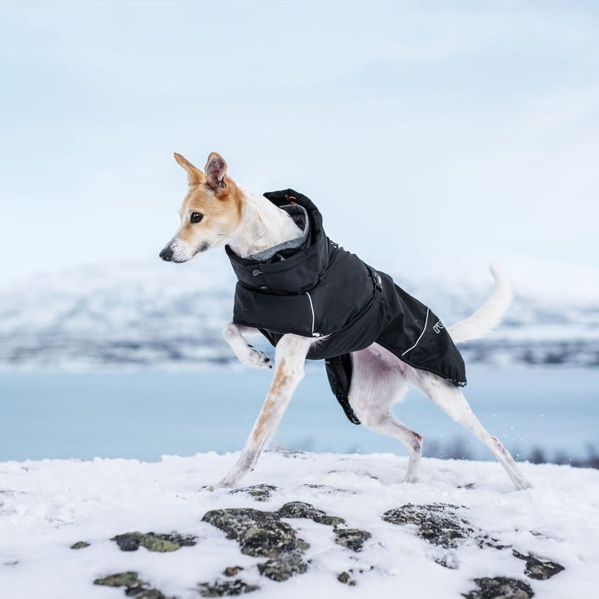 Rukka Pets musta koiran talvitakki