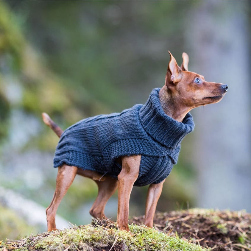 Rukka Pets Wooly-neule koiralle