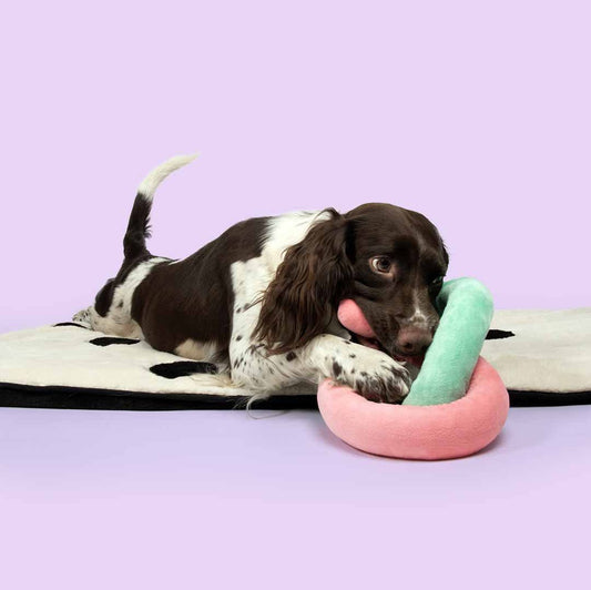 Coockoo Snuggle Snake - koiranlelu