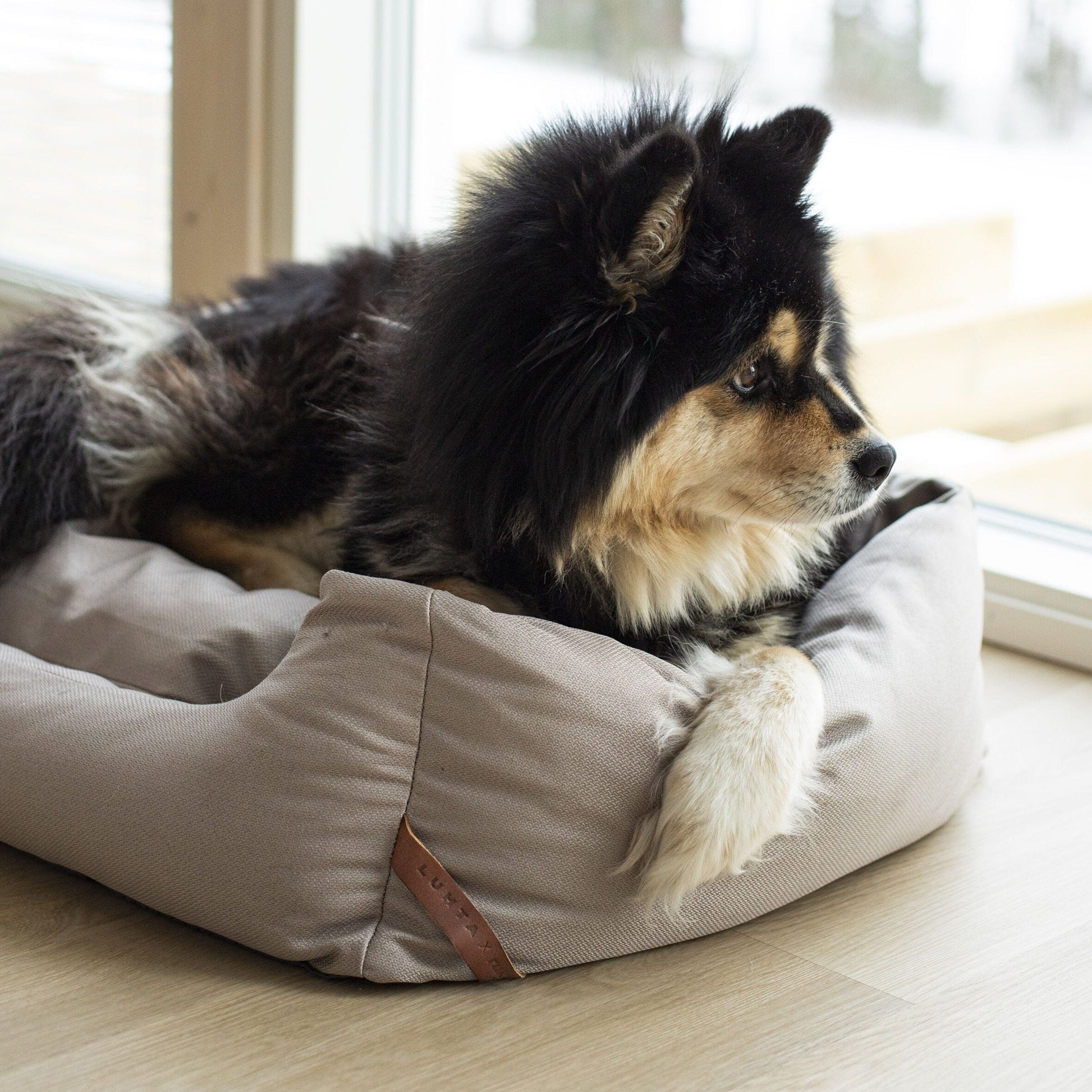 Rukka Pets Square Bed - koiran peti, beige