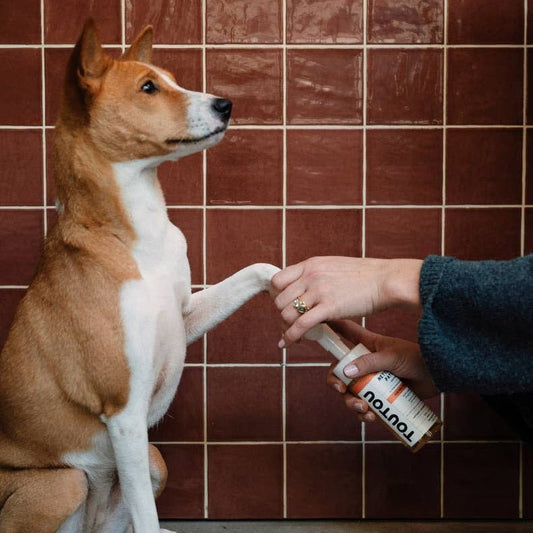 Toutou Petcare Täytettävä tassupuhdistusainepullo