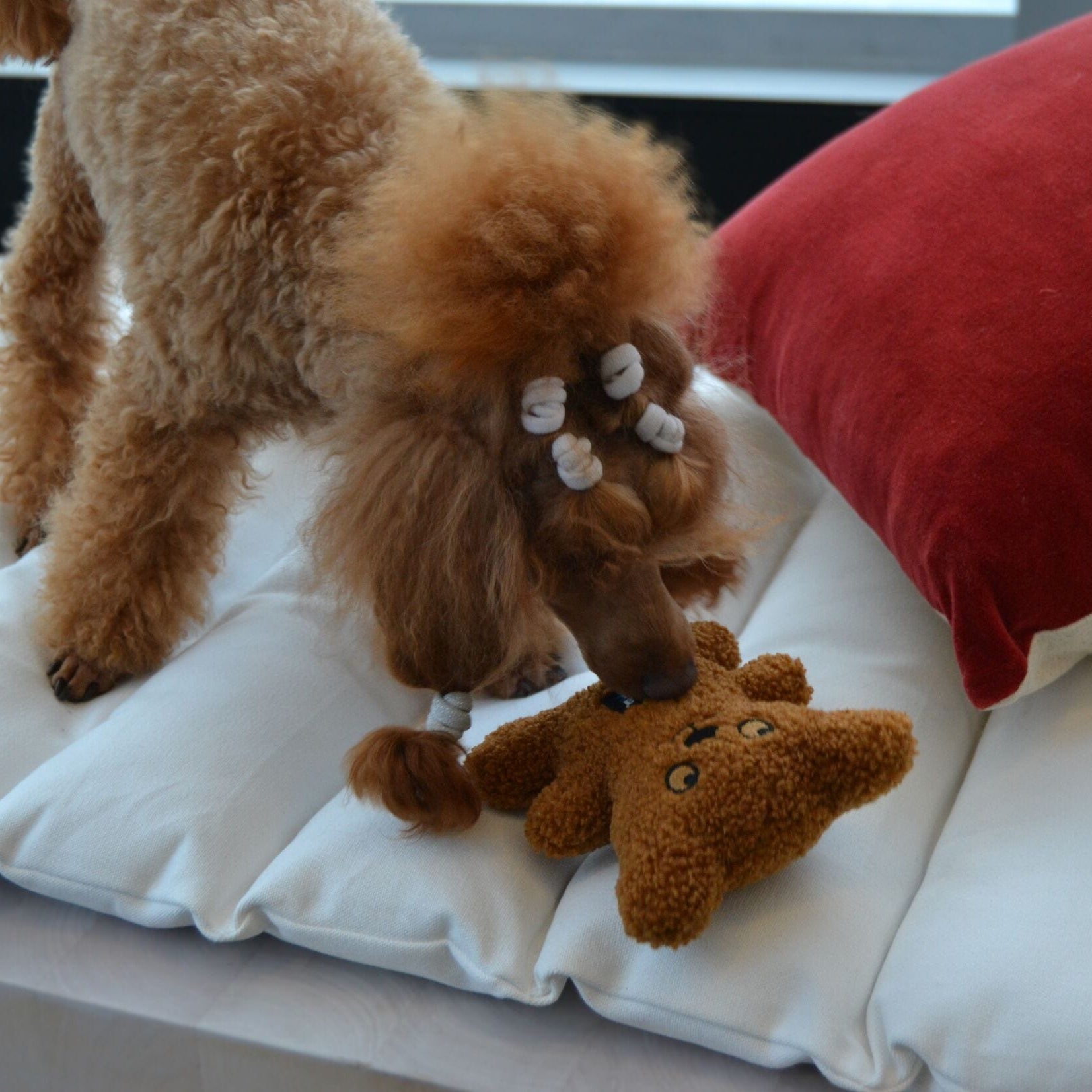 Rukka Pets Teddy Toy - vinkuva pehmokaveri
