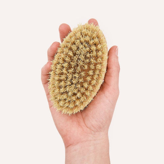 CAFIDE Teo - harja lyhytkarvaiselle