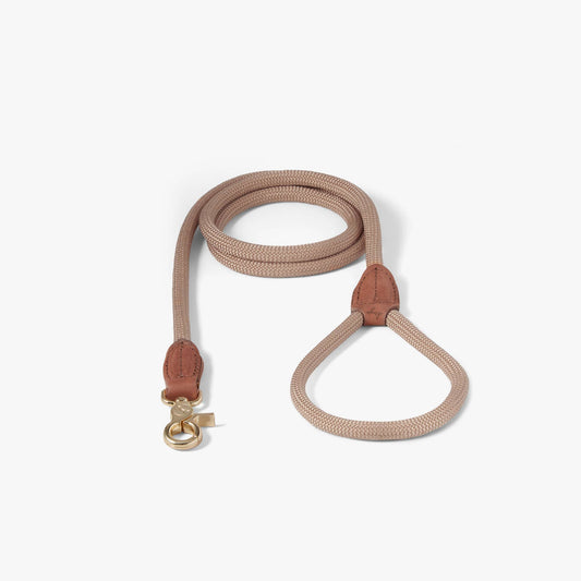 Denjo Dogs Torekov - koiran hihna, hiekka