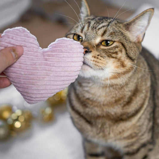 The Catery Valeriaana tuoksutyyny