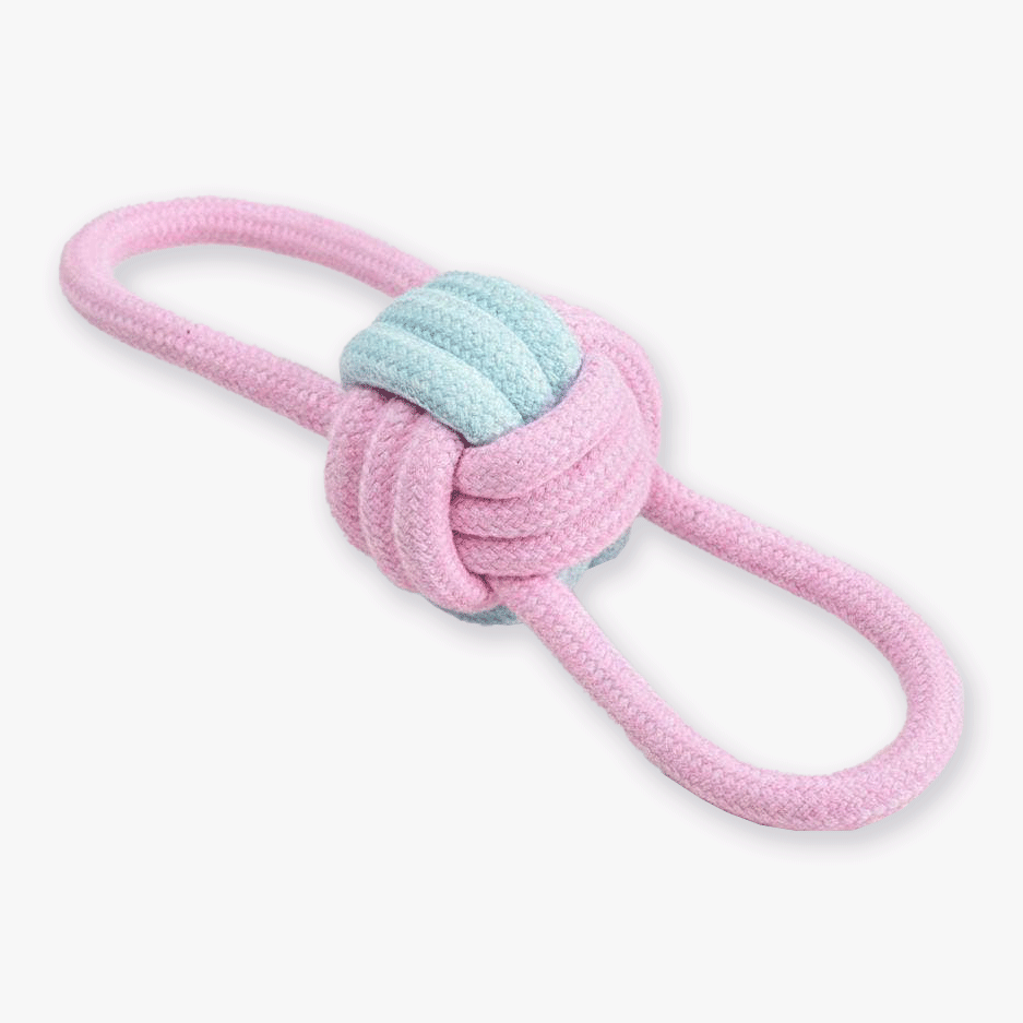 Köysilelu koiralle, pastelli