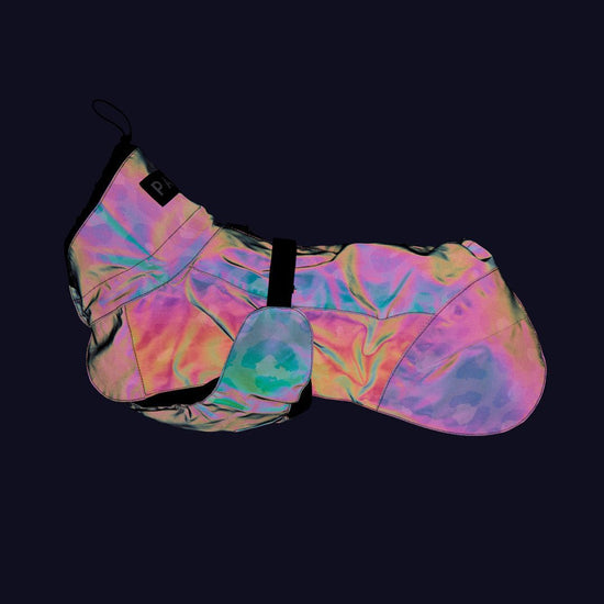 PAIKKA Visibility Lite - koiran sadetakki, Leo