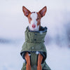 Rukka Pets Warmup 2.0 - talvitakki