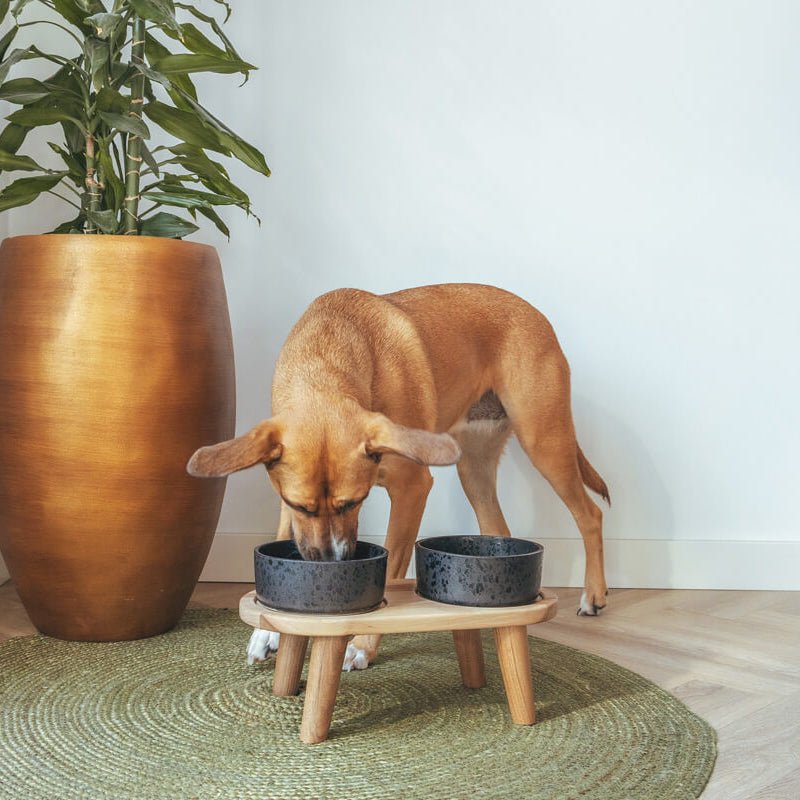 AVA bowls Wolf - keraaminen ruokakulho