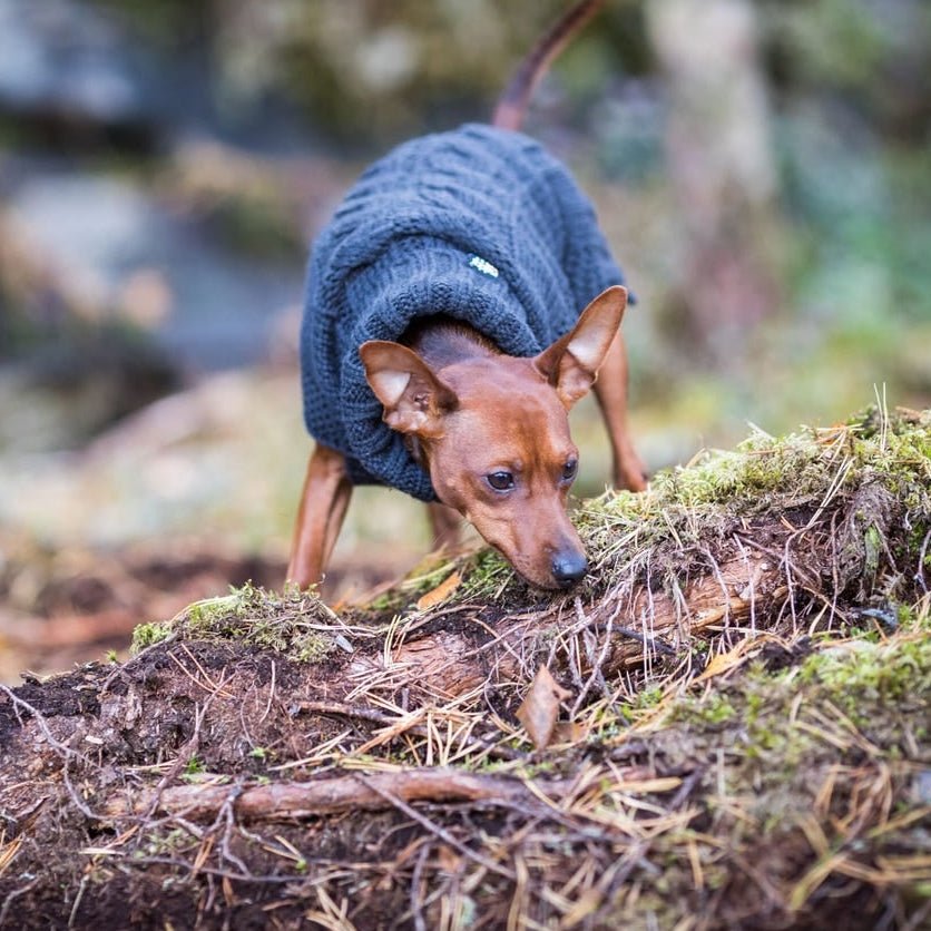 Rukka Pets Wooly - neulepuseo, antrasiitti